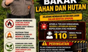 IMG-20260730-WA0106